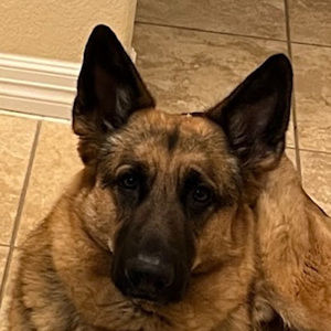 Meet your Posher, Jonathan